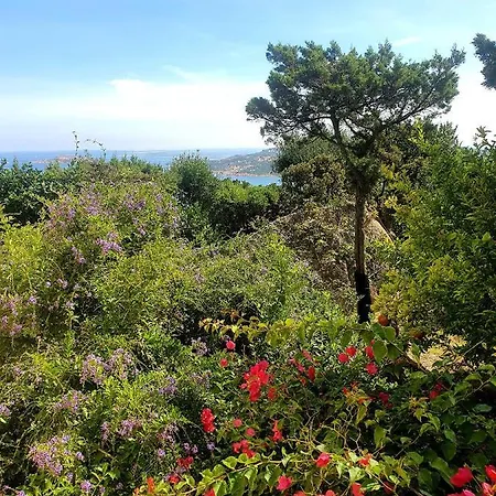 Sea View Pantogia