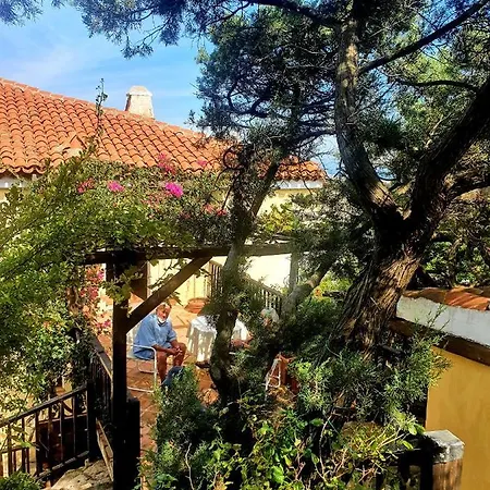 Sea View Pantogia Holiday home Porto Cervo