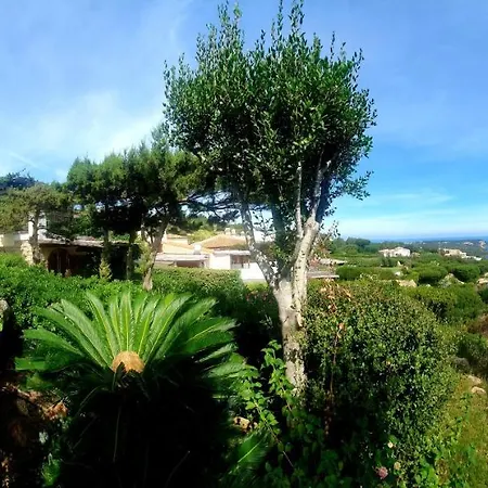 Sea View Pantogia