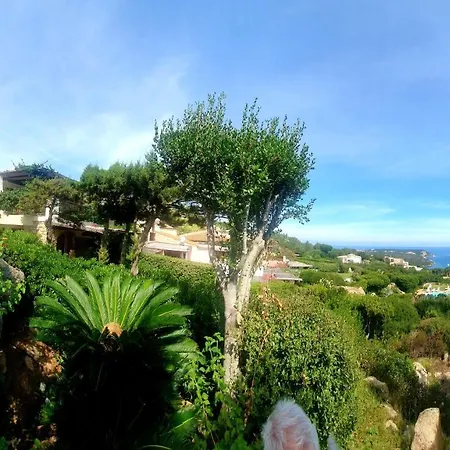 Sea View Pantogia Holiday home Porto Cervo